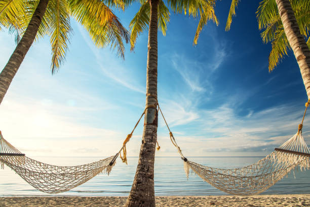 istock Tropical Paradise Beach In The Morning 937841028