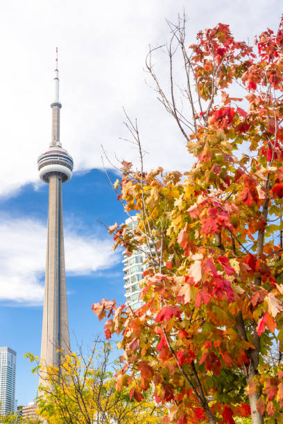 istock Toronto skyline at sunset in Ontario, Canada. 937852260