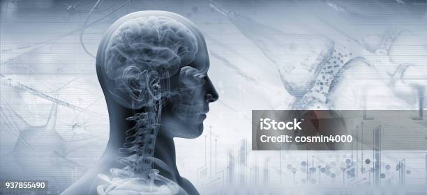 Brain Thinking Concept Stock Photo - Download Image Now - The Human Body, Human Nervous System, Human Brain
