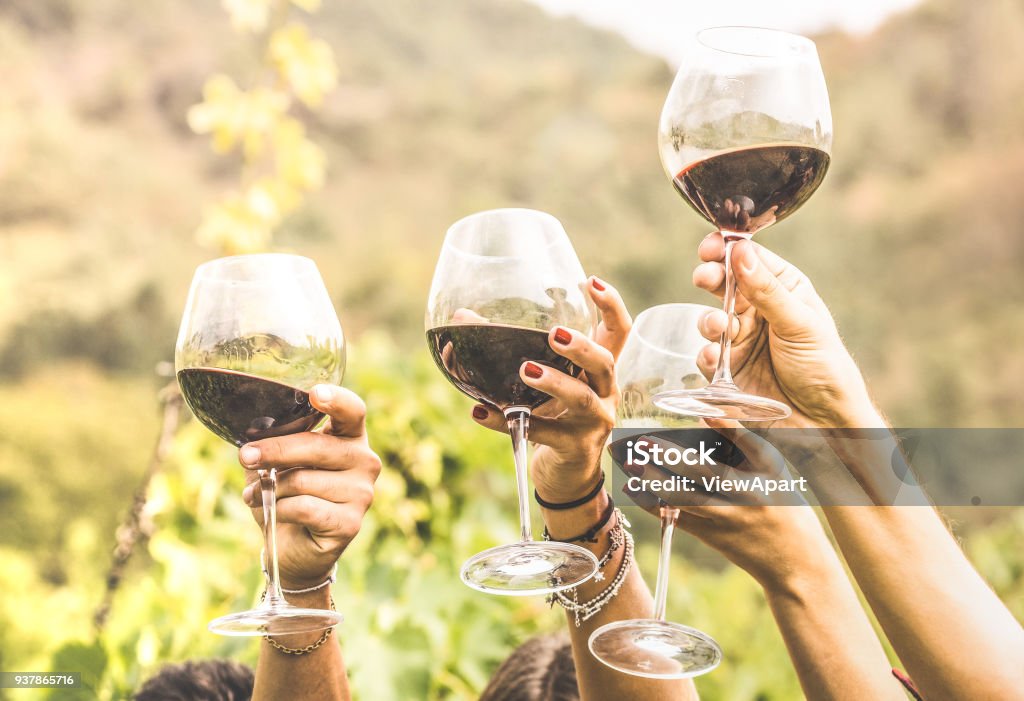 Hands toasting red wine glass and friends having fun cheering at winetasting experience - Young people enjoying harvest time together at farmhouse vineyard countryside - Youth and friendship concept Wine Stock Photo