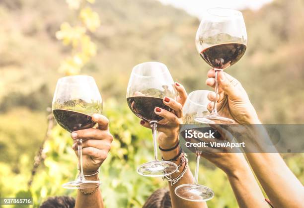 Hands Toasting Red Wine Glass And Friends Having Fun Cheering At Winetasting Experience Young People Enjoying Harvest Time Together At Farmhouse Vineyard Countryside Youth And Friendship Concept Stock Photo - Download Image Now