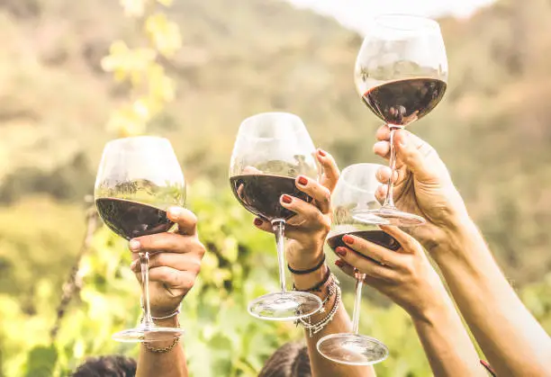Photo of Hands toasting red wine glass and friends having fun cheering at winetasting experience - Young people enjoying harvest time together at farmhouse vineyard countryside - Youth and friendship concept