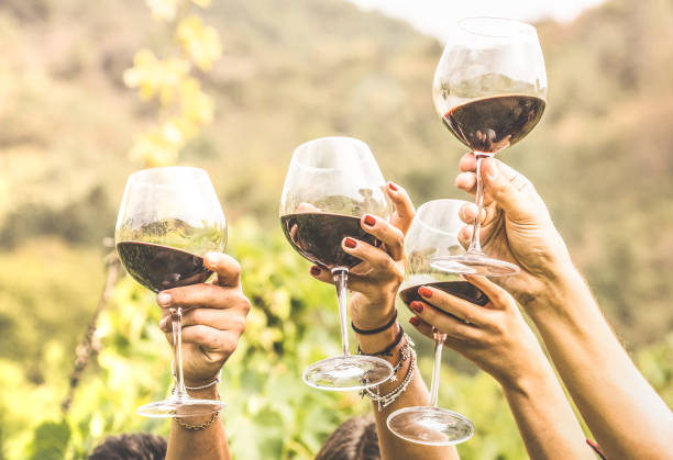 руки тосты бокал �красного вина и друзей весело аплодисменты на винный опыт - молодые люди наслаждаясь урожай время вместе на ферме виноград - winery autumn vineyard grape стоковые фото и изображения