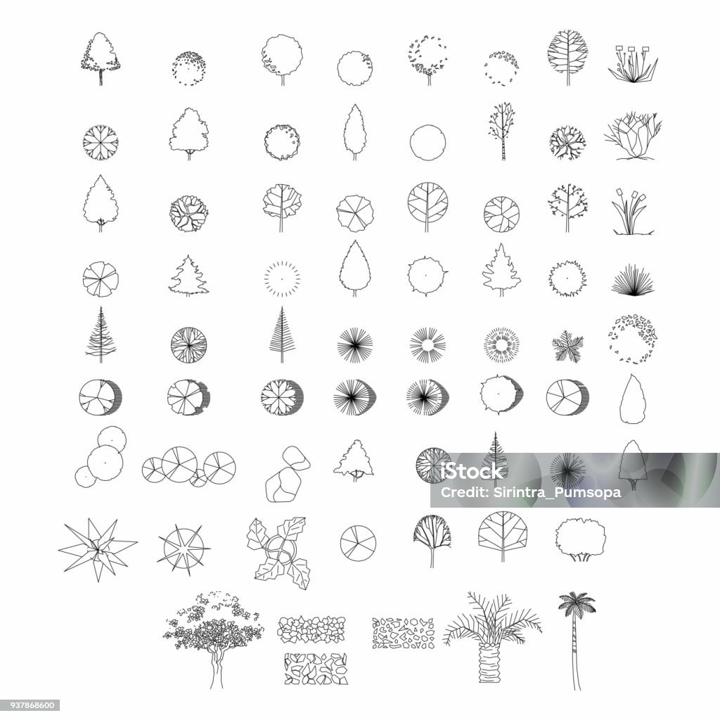 Superior vista y vista lateral, árboles gráficos elementos del esquema símbolo para dibujo arquitectura y paisaje. Ilustración de vector - arte vectorial de Árbol libre de derechos