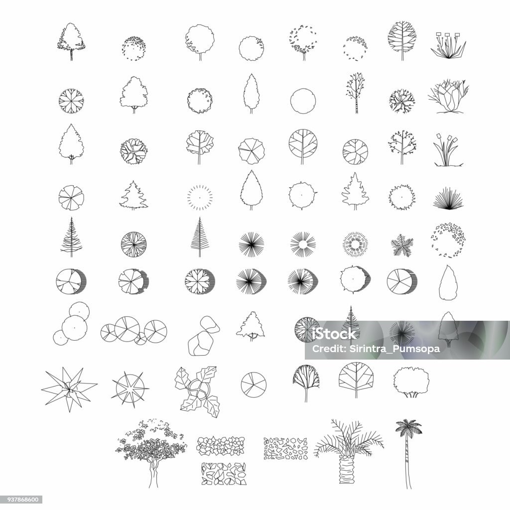 Vista dall'alto e vista laterale, set di elementi grafici degli elementi degli alberi simbolo del contorno per l'architettura e il disegno di progettazione del paesaggio. Illustrazione vettoriale - arte vettoriale royalty-free di Albero