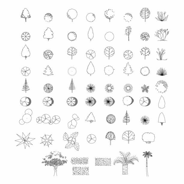 Top view and side view, set of graphics trees elements outline symbol for architecture and landscape design drawing. Vector illustration Top view and side view, set of graphics trees elements outline symbol for architecture and landscape design drawing. Vector illustration tree designs stock illustrations