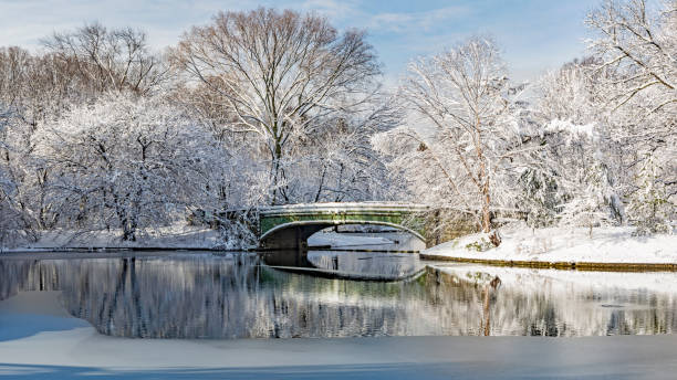 istock Lullwater Bridge Morning Snow 937871530