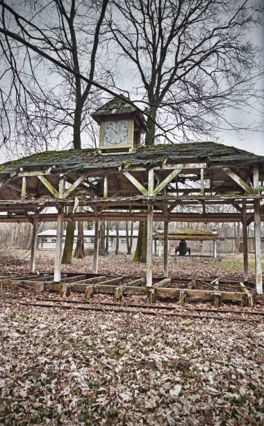 포기됨 공원 - rollercoaster wood railroad track nobody 뉴스 사진 이미지