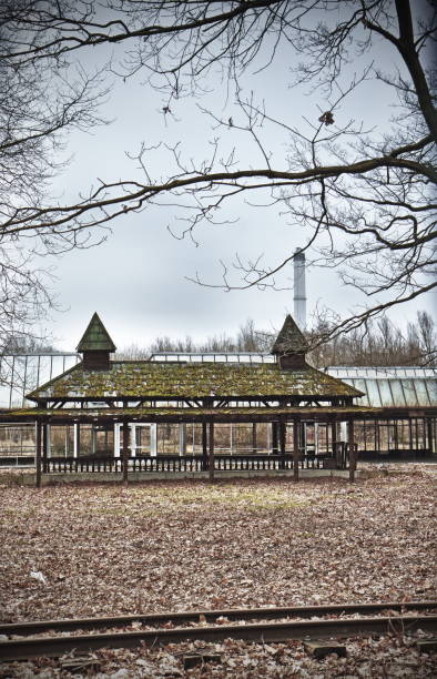 포기됨 공원 - rollercoaster wood railroad track nobody 뉴스 사진 이미지