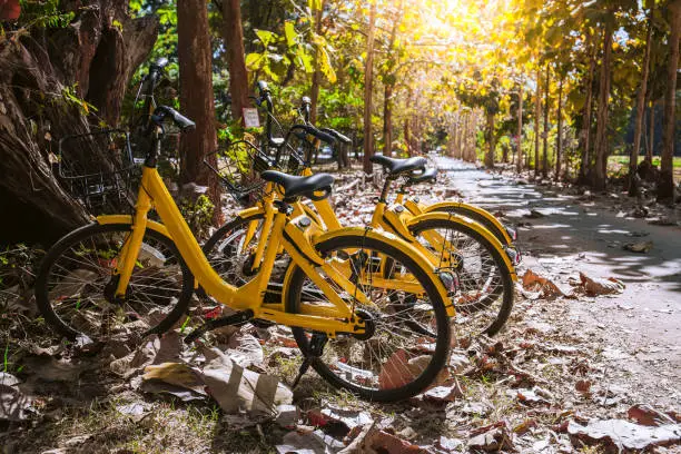 yellow bicycle with dryleaves on ground and sideway street with tree and sun flare