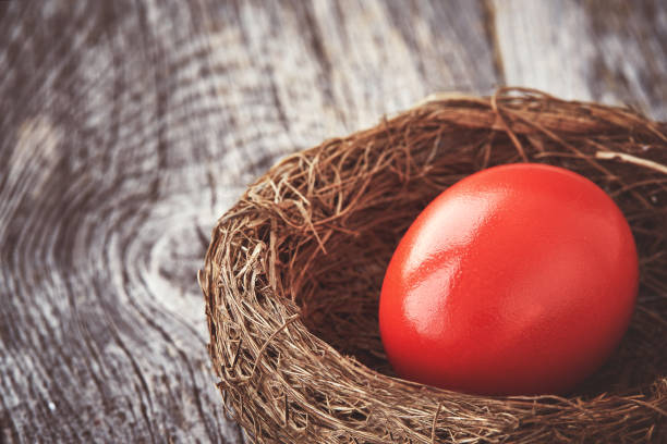 istock Red Easter egg in nest on old wooden background. Copy space, toned, soft focus 937880810