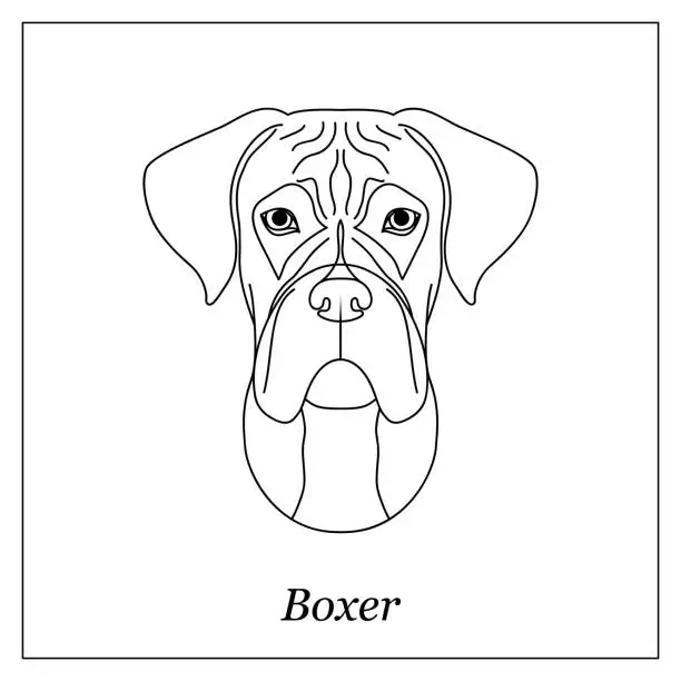 Vector illustration of Isolated black outline head of german boxer on white background. Line cartoon breed dog portrait.