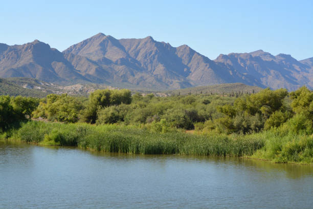istock Horseshoe Lake in Tonto National Forest 937884296