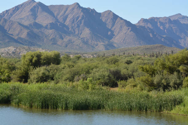 istock Horseshoe Lake in Tonto National Forest 937884324