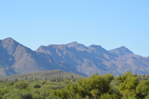 istock A view in Tonto National Forest 937884462
