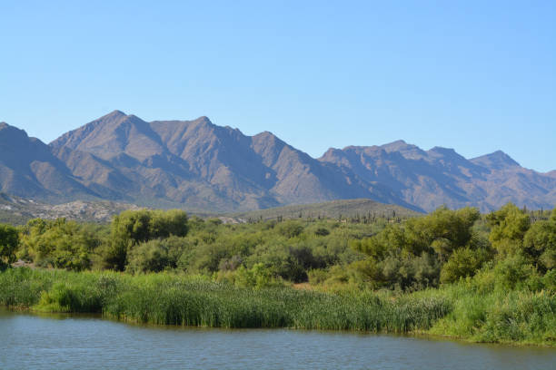 istock Horseshoe Lake in Tonto National Forest 937884466