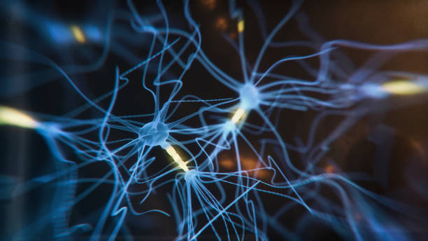 Neuron system Neuron cells system - 3d rendered image of Neuron cell network on black background. Hologram view  interconnected neurons cells with electrical pulses. Conceptual medical image.  Glowing synapse.  Healthcare concept. axon terminal stock pictures, royalty-free photos & images