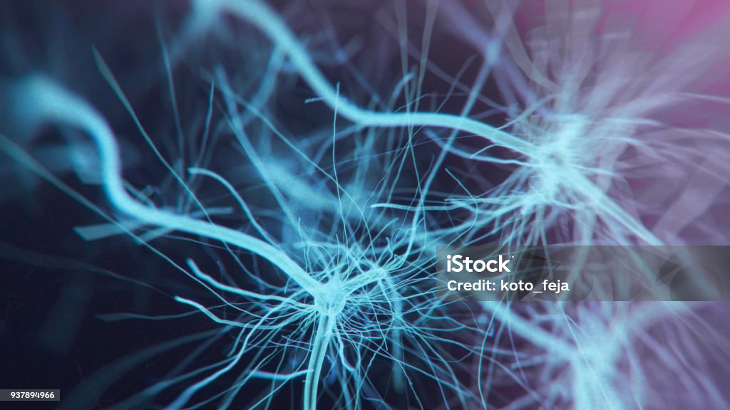 Neuron-system - Lizenzfrei Menschliches Nervensystem Stock-Foto