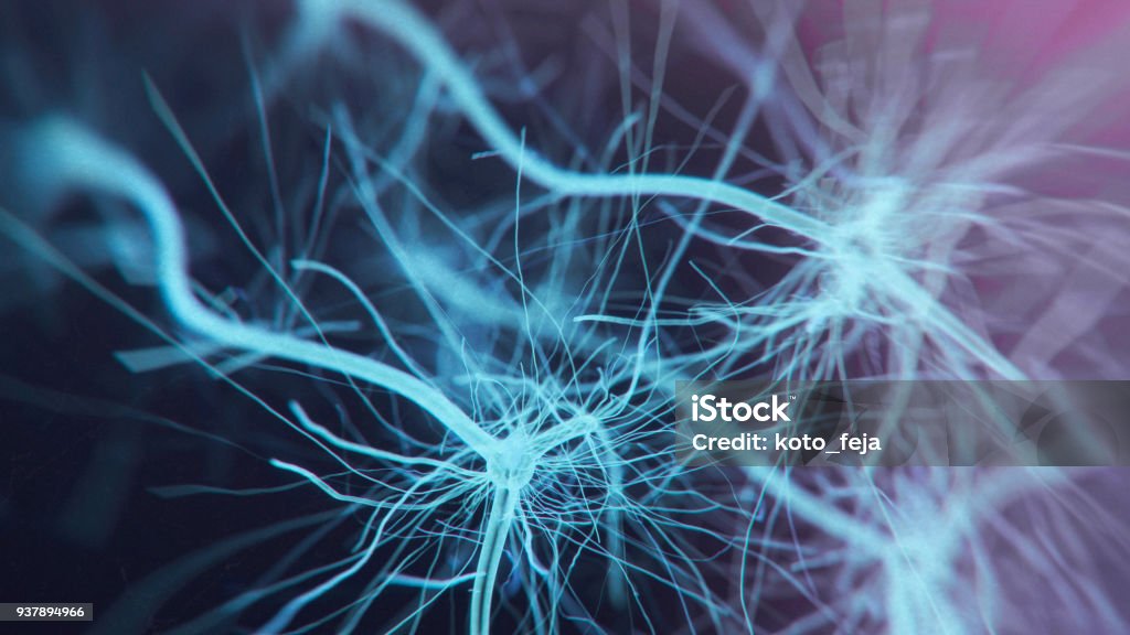 Neuron system Neuron cells system - 3d rendered image of Neuron cell network on black background. Hologram view  interconnected neurons cells with electrical pulses. Conceptual medical image.  Glowing synapse.  Healthcare concept. Human Nervous System Stock Photo