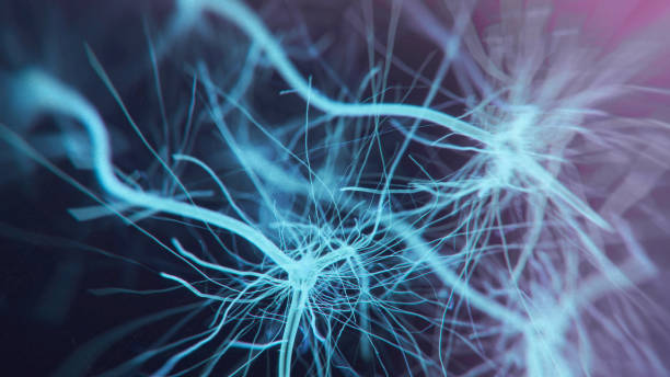 Neuron system Neuron cells system - 3d rendered image of Neuron cell network on black background. Hologram view  interconnected neurons cells with electrical pulses. Conceptual medical image.  Glowing synapse.  Healthcare concept. neuroscience stock pictures, royalty-free photos & images