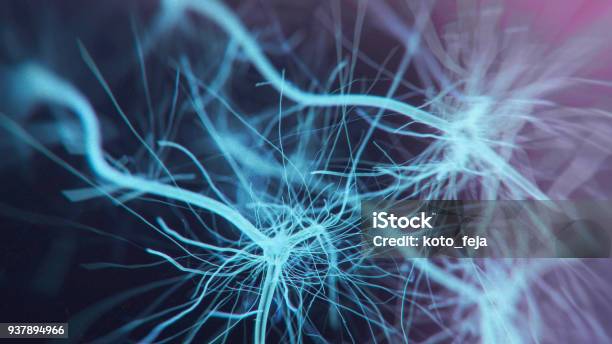 Neuron System Stock Photo - Download Image Now - Human Nervous System, Neuroscience, Biological Cell