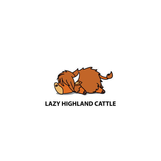 Lazy highland cattle, cute highland cow sleeping icon Lazy highland cattle, cute highland cow sleeping icon, logo design, vector illustration sleeping cow stock illustrations