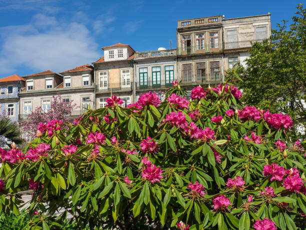 La ciudad de porto en portugal - foto de stock