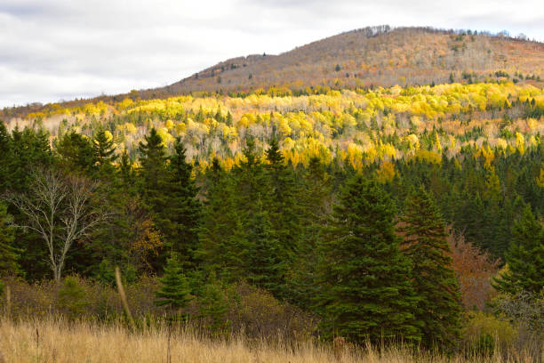istock Autumn in the Mountains New Brunswick Canada 937911114