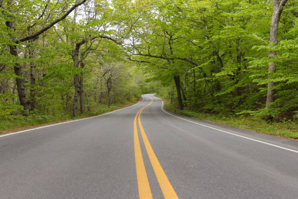 usa massachusetts cape cod winding road farbe - town rural scene road new england stock-fotos und bilder