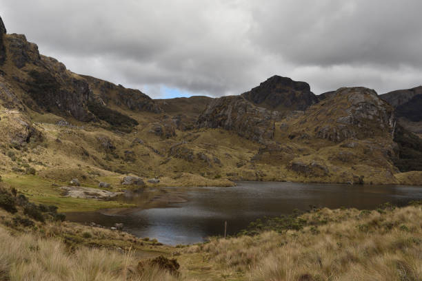 istock Cajas National Park Cuenca Ecuador 937917200
