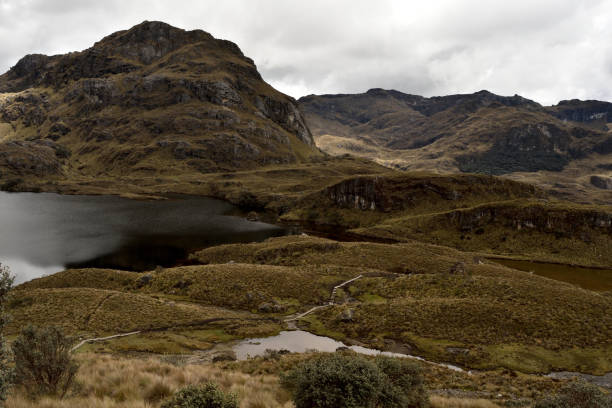 istock Cajas National Park Cuenca Ecuador 937917254