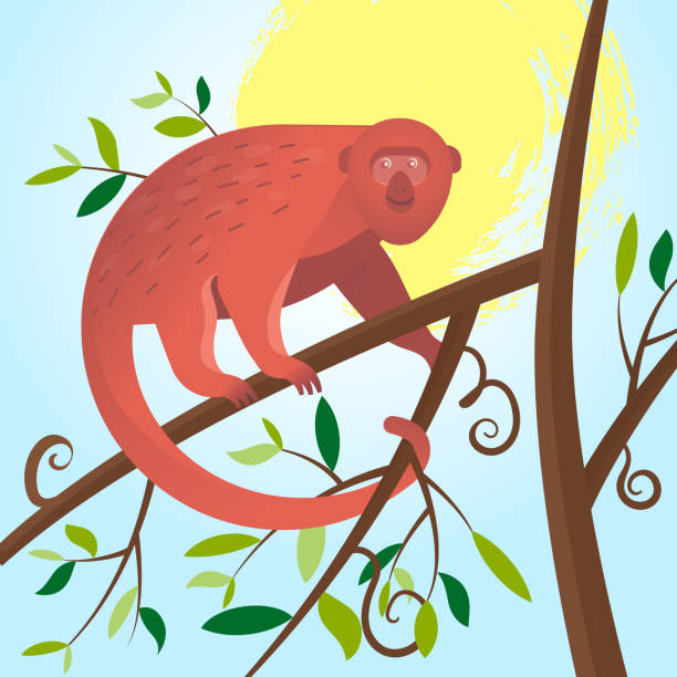 Cartoon Red Colombian Monkey on a tree branch Cartoon Red Colombian Monkey hanging on a tree branch on the jungle background.
Vector Illustration EPS 10 file. howler monkey stock illustrations