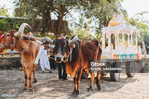 Indian Decorated Bull For Sankranthi Festival Stock Photo - Download Image Now - Art, Mumbai, Animal