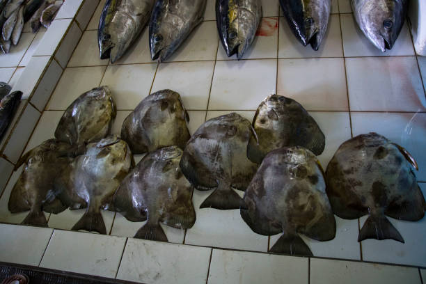 BatFish A Fish Market in Male in Maldives maldives fish market photos stock pictures, royalty-free photos & images