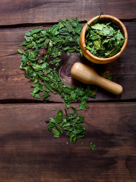 Medicinal herbs of Neem leaves stock photo