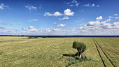 agrarlandschaft-im-sommer.jpg?b=1&s=170x