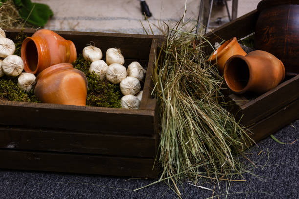 vida de la aldea: vasija, maíz y ajo arcilla ajo, jarra de arcilla - pumpkin simplicity rustic old fotografías e imágenes de stock