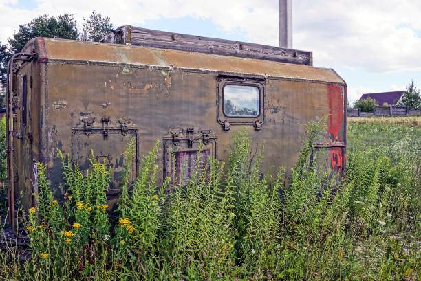 istock Iron green container with windows on the meadow in the grass 937936516