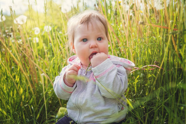 bambina seduta sull'erba su uno sfondo di denti di leone bianchi. - hat toddler little girls pink foto e immagini stock