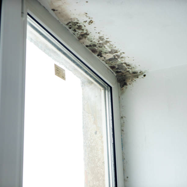 istock Inscription molds on the wall next to the window 937940060