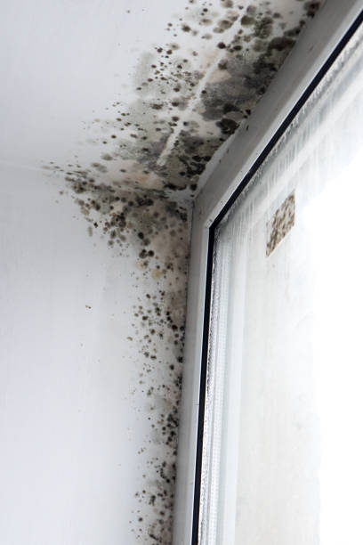 istock Inscription molds on the wall next to the window 937940074
