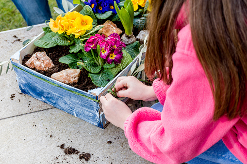 Mother And Daughter Planting Spring Flower in Crate