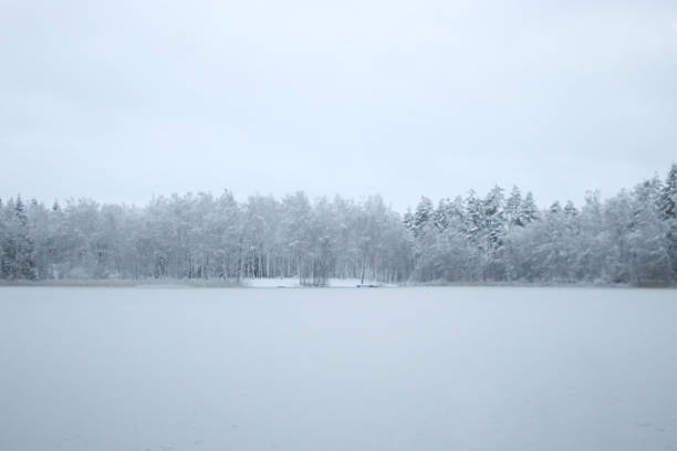 istock Lake and snowy forrest 937945244