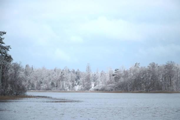 istock Lake and snowy forrest 937945396
