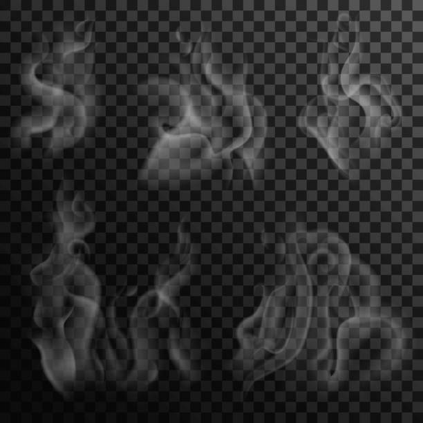 Set of digital realistic smoke on a dark background. Izolated white steam from coffee, tea and hot food. Transparent elements for web pages and menu desing Set of isolated smoke on a dark transparent background. White steam from coffee, tea and hot food steam stock illustrations