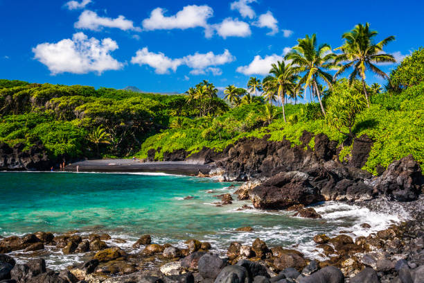 parque waianapapa, en maui - maui fotografías e imágenes de stock