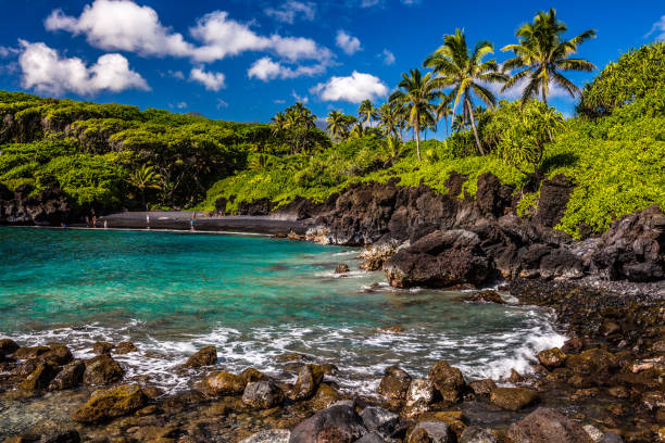 istock Waianapapa State Park, Maui 937960088