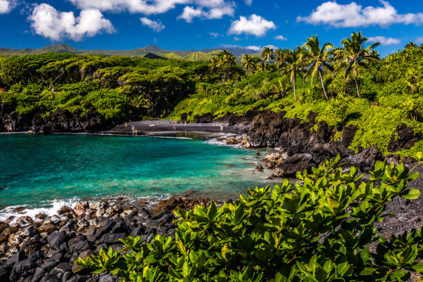 istock Waianapapa State Park, Maui 937960156