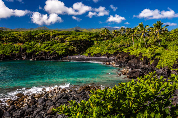 istock Waianapapa State Park, Maui 937960162