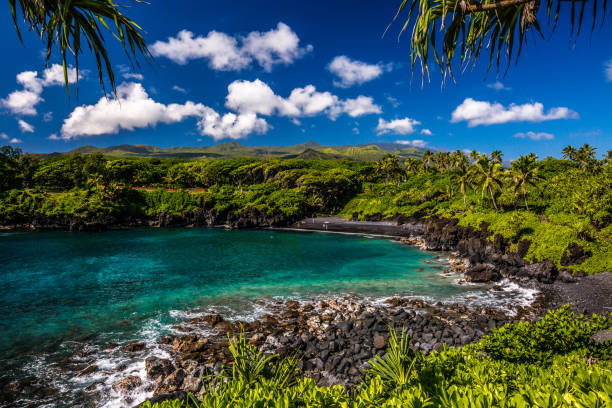 istock Waianapapa State Park, Maui 937960172
